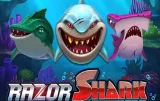 Razor Shark – Βουτήξτε βαθιά για μεγάλες ανταμοιβές